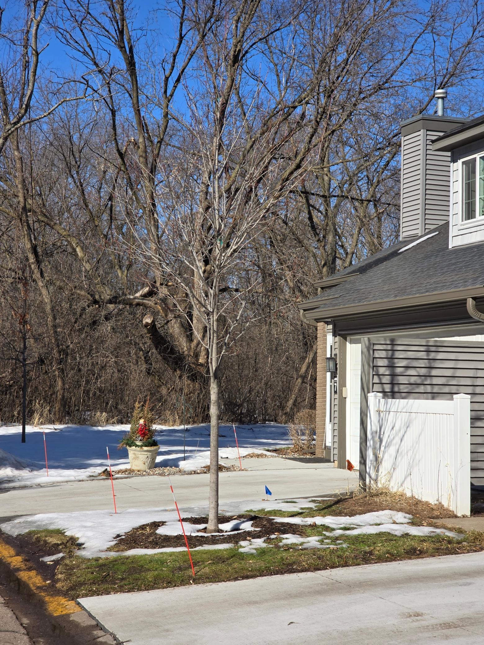 9935 Russell Avenue N 7