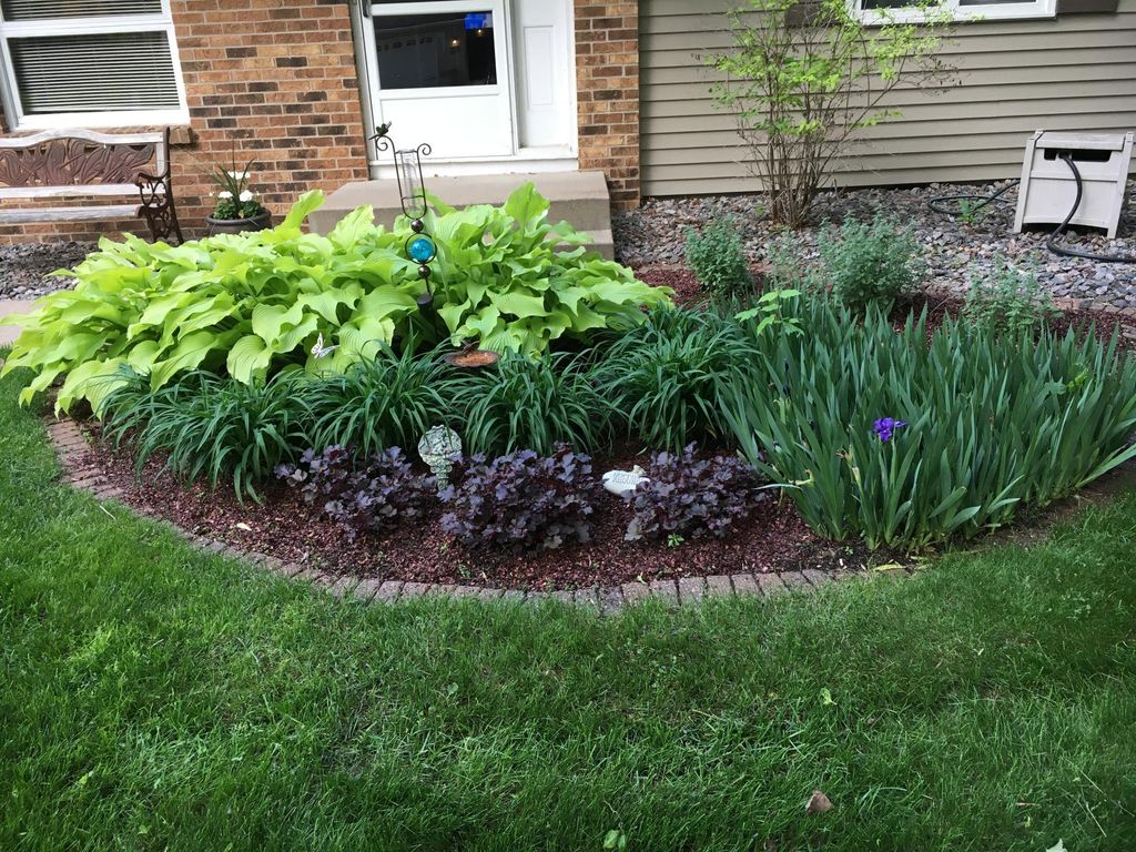 Photo of 10156 Pilgrim Lane N, Maple Grove, MN 55369 (MLS # 7032673)