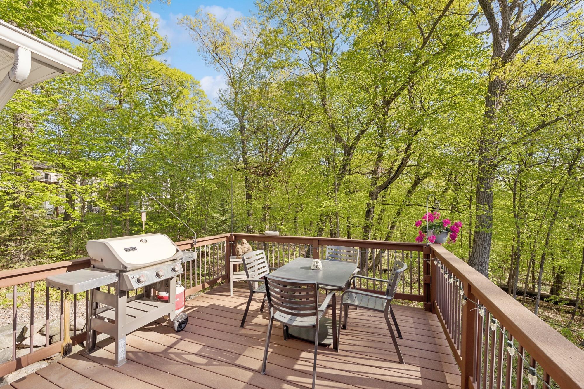 17300 Tilia Ridge