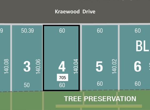 Photo of 705 Kraewood Drive, Northfield, MN 55057 (MLS # 6758116)