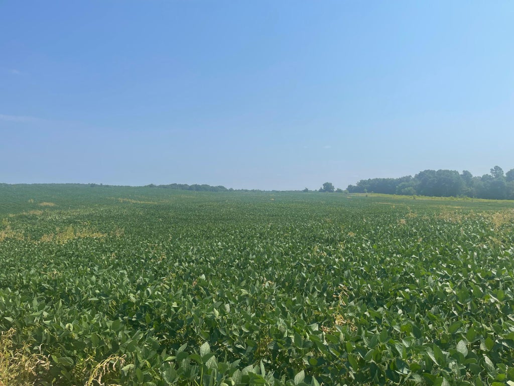 Photo of XXXX 190th Street, Centuria, WI 54824 (MLS # 7125190)