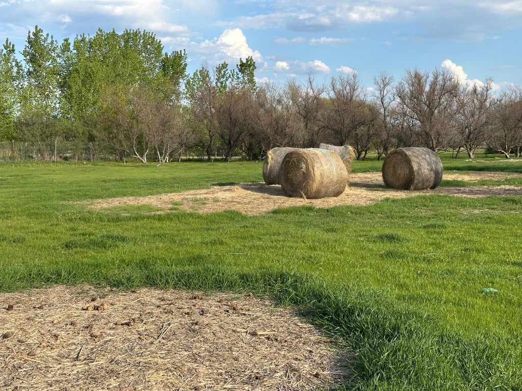 Photo of 1582 NE Freedom Avenue, Manvel, ND 58256 (MLS # 7147612)