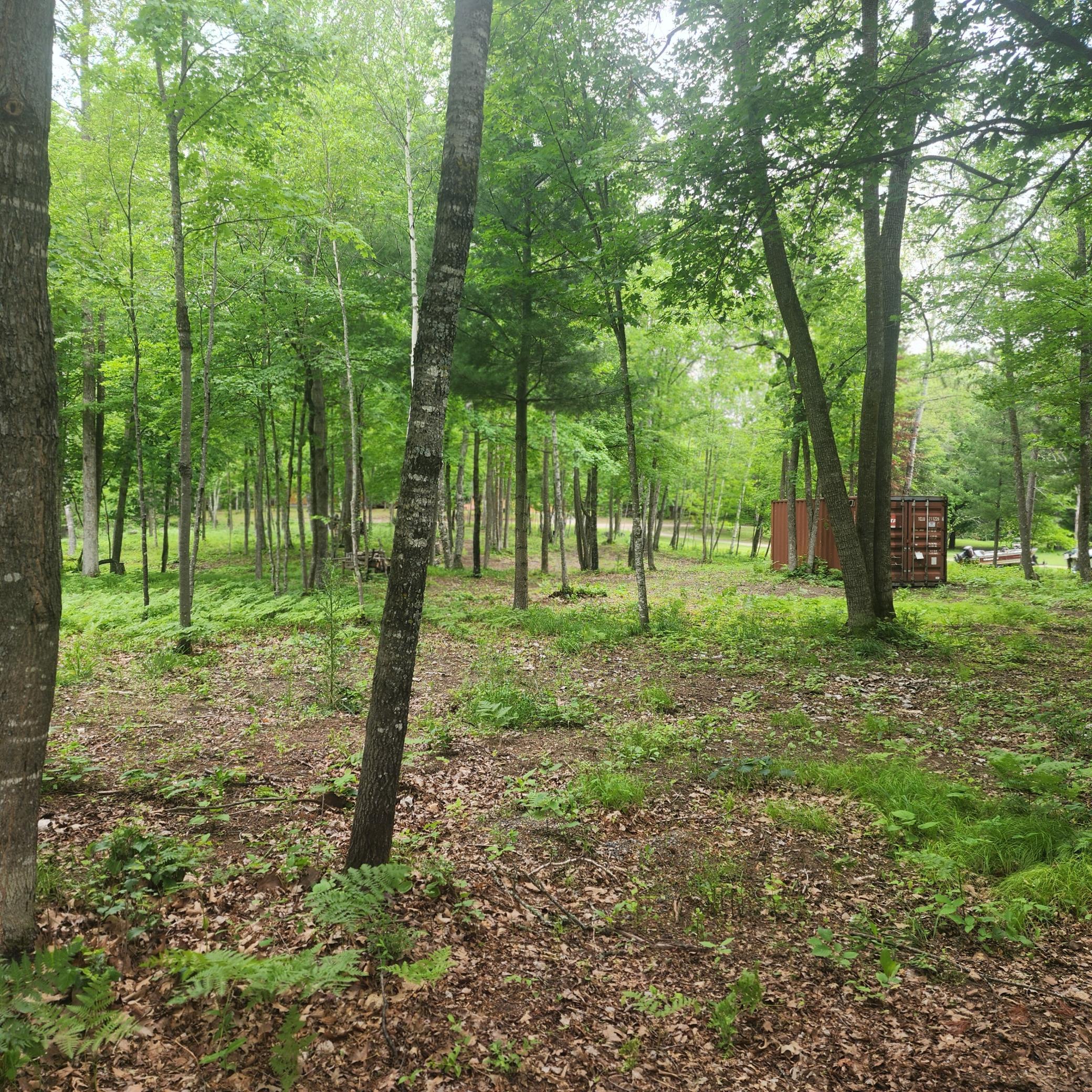 TBD 186TH AVE - Photo 4