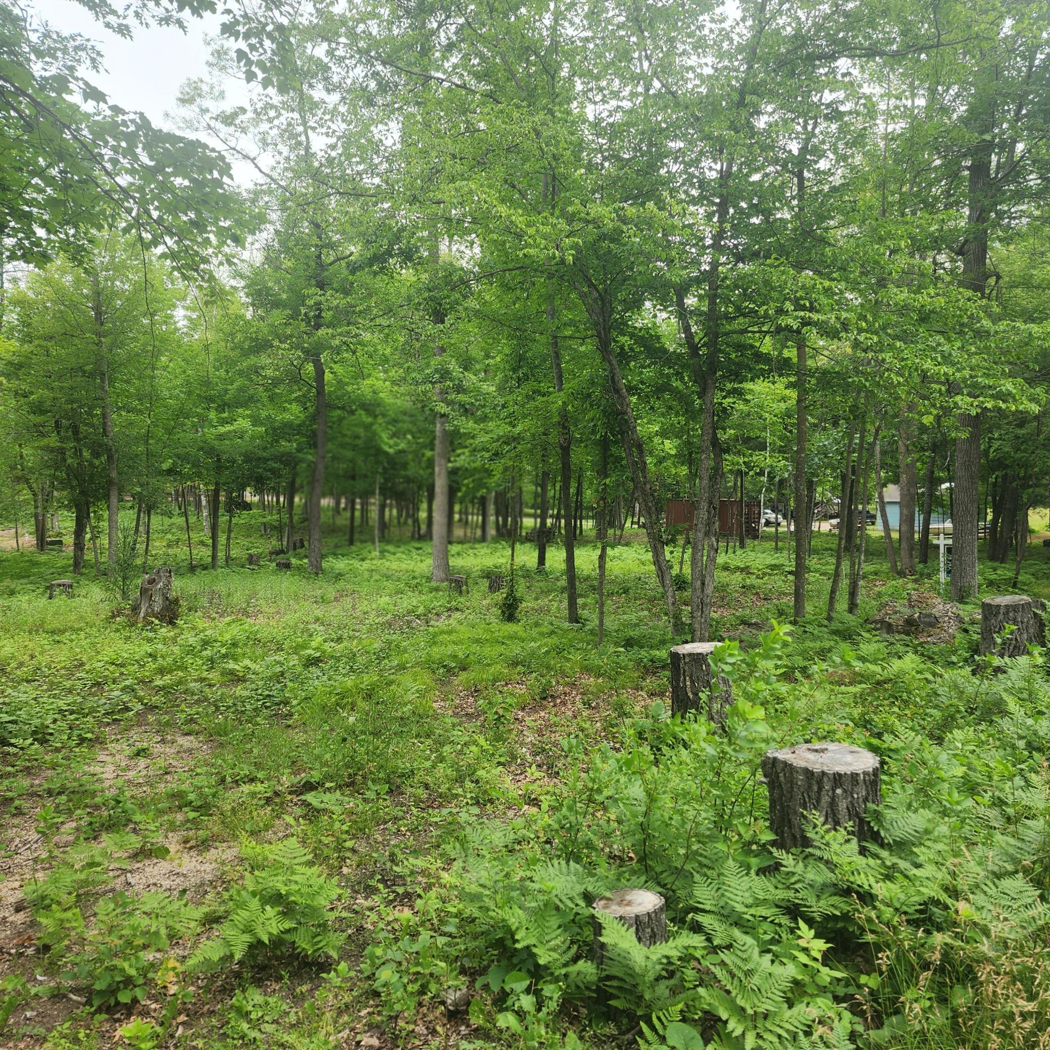 TBD 186TH AVE - Photo 3