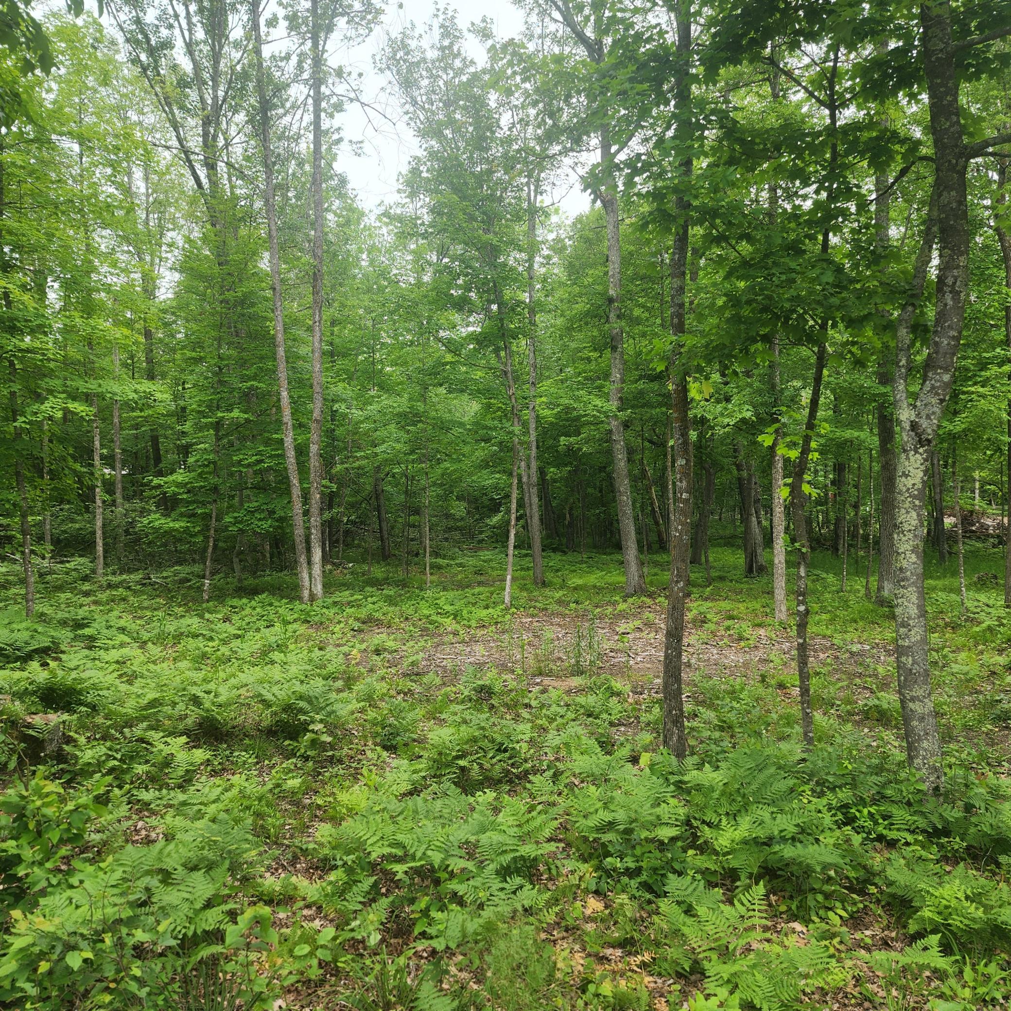TBD 186TH AVE - Photo 2
