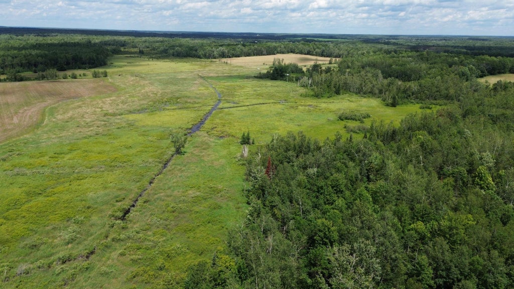 Photo of W11199 Edgewood Rd W, Bruce, WI 54848 (MLS # 7155582)