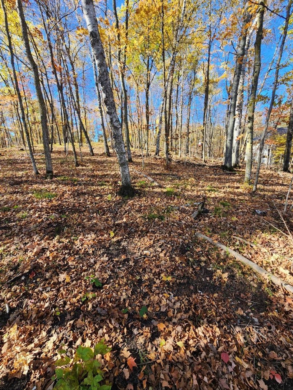 Photo of LOT 7 SW Pickerel Lake Road, Detroit Lakes, MN 56501 (MLS # 7011385)