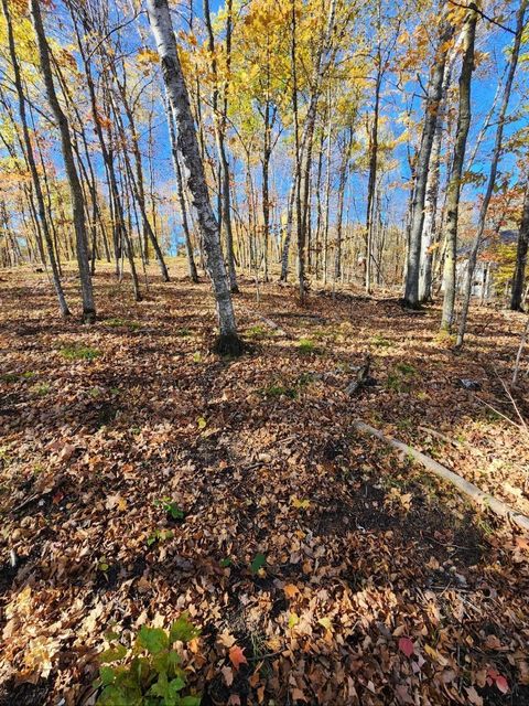 LOT 7 SW Pickerel Lake Road Detroit Lakes MN 56501