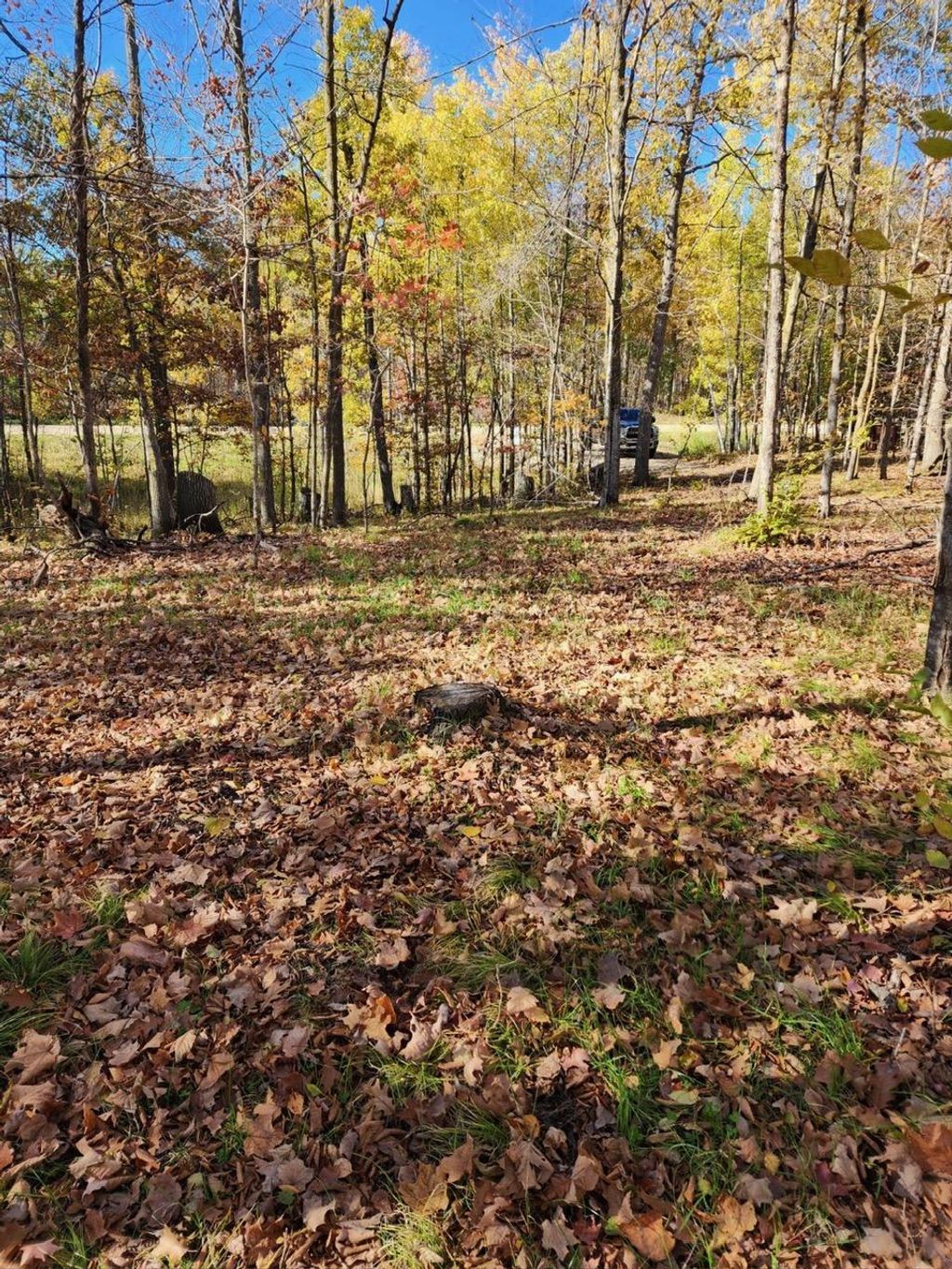 Photo of LOT 7 SW Pickerel Lake Road, Detroit Lakes, MN 56501 (MLS # 7011385)