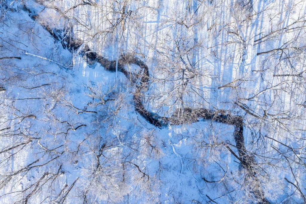 Photo of 12295 Wilton Bridge Road, Waseca, MN 56093 (MLS # 7032305)