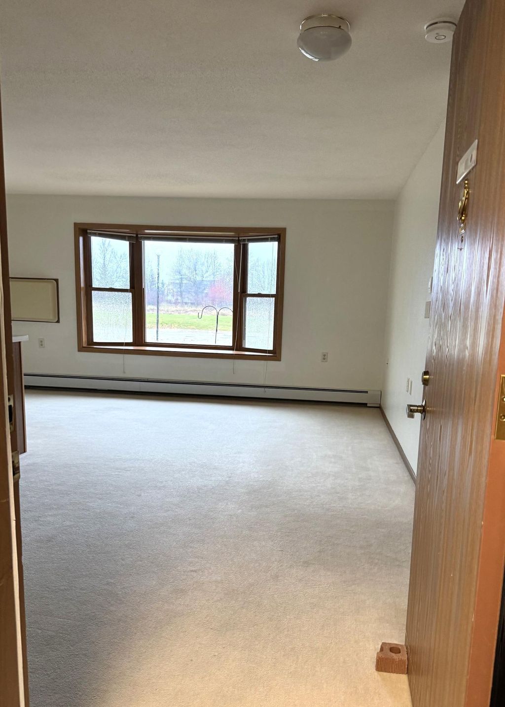 Photo of 611 Main Street S #201, Renville, MN 56284 (MLS # 6824713)