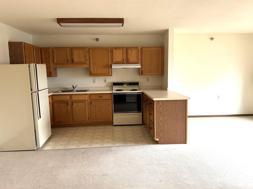 Photo of 611 Main Street S #201, Renville, MN 56284 (MLS # 6824713)