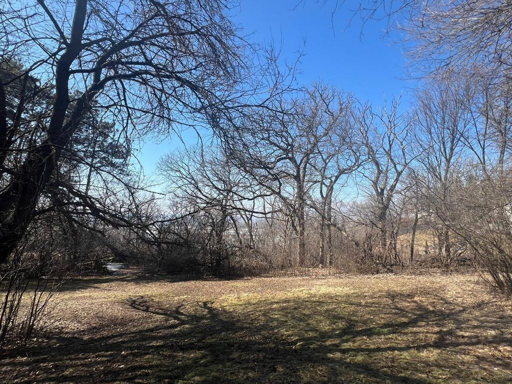 Photo of TBD Oakridge Street, Saint Paul, MN 55119 (MLS # 7032661)