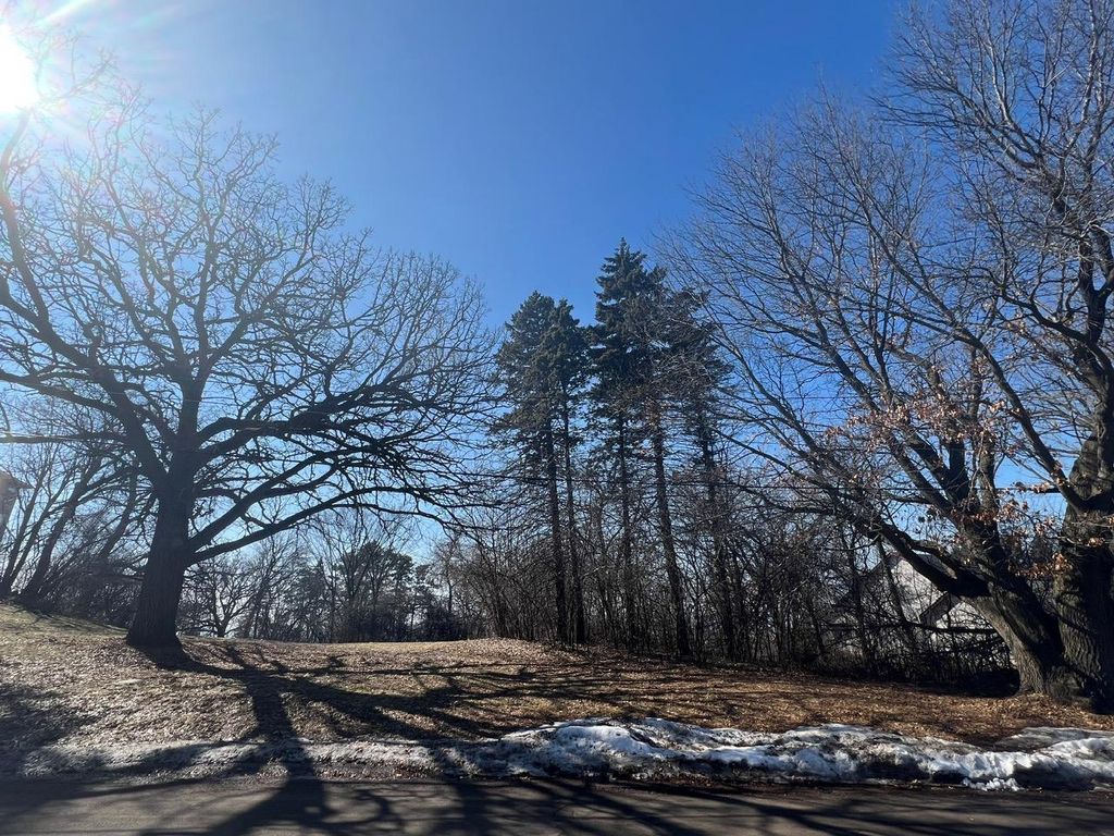 Photo of TBD Oakridge Street, Saint Paul, MN 55119 (MLS # 7032661)