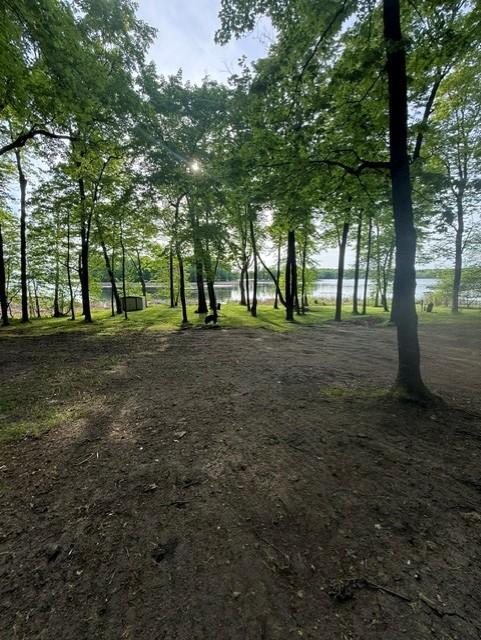 14040 Pearl Lake Drive