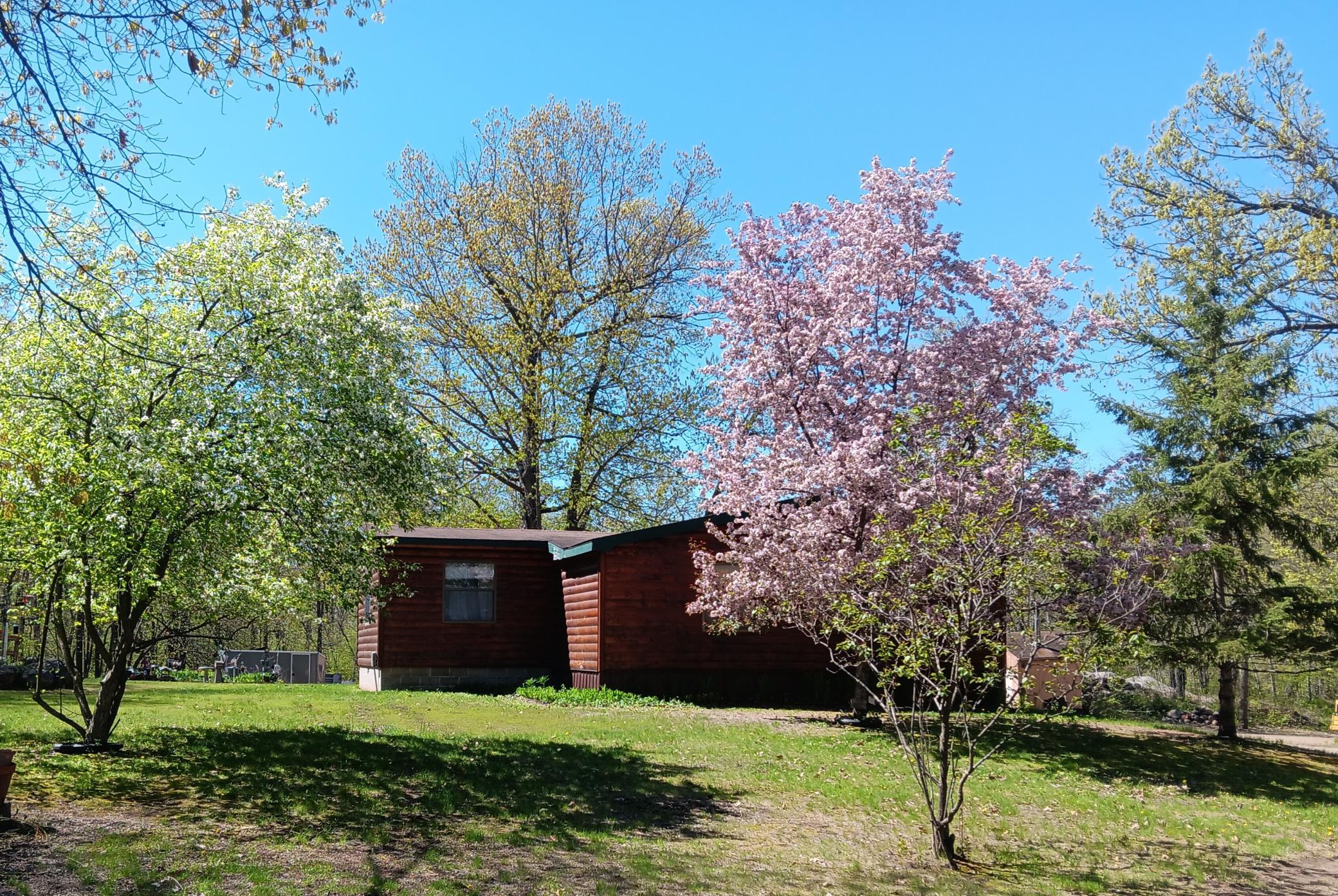 16207 Palomino Lane