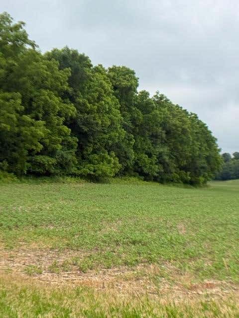 Photo of TBD Back Valley Road, Pepin, WI 54759 (MLS # 7098458)