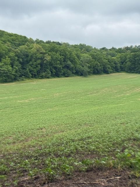 Photo of TBD Back Valley Road, Pepin, WI 54759 (MLS # 7098458)