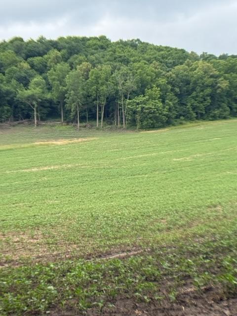 Photo of TBD Back Valley Road, Pepin, WI 54759 (MLS # 7098458)