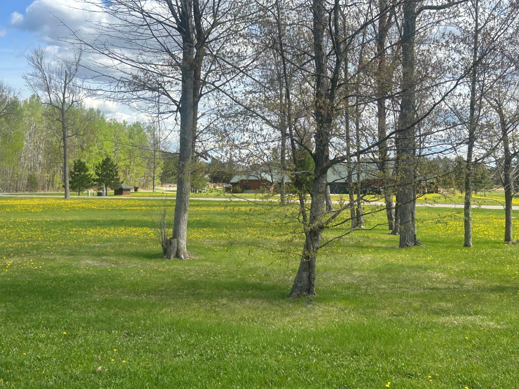 29848 Natureview Lane