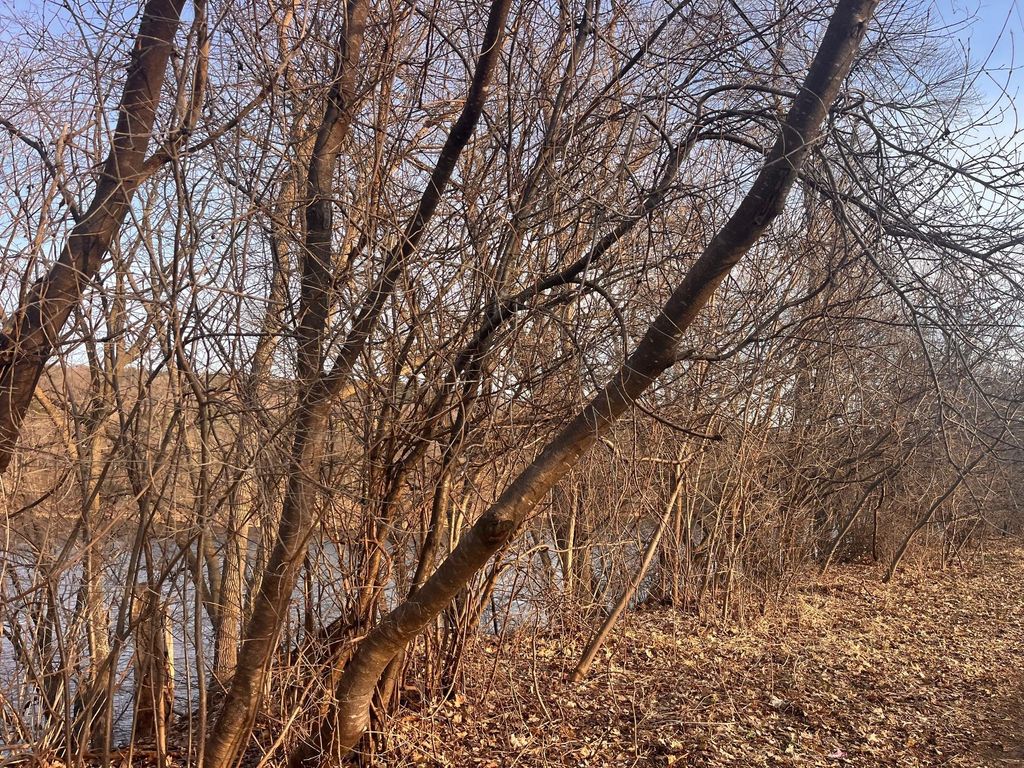 Photo of 5xx River Street, Taylors Falls, MN 55084 (MLS # 7065186)