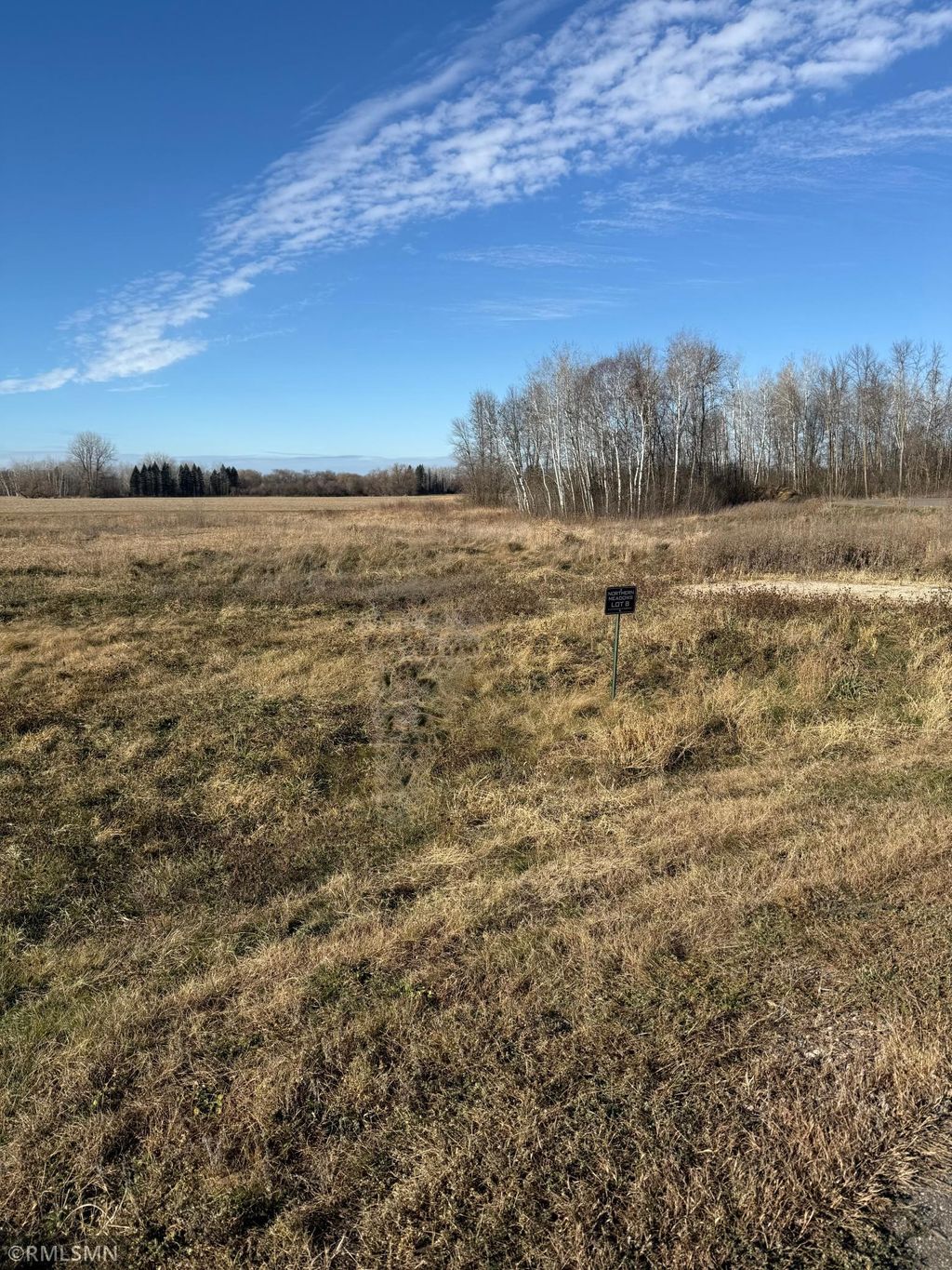 Photo of 509 Northern Meadows Lane, Sartell, MN 56377 (MLS # 6821137)