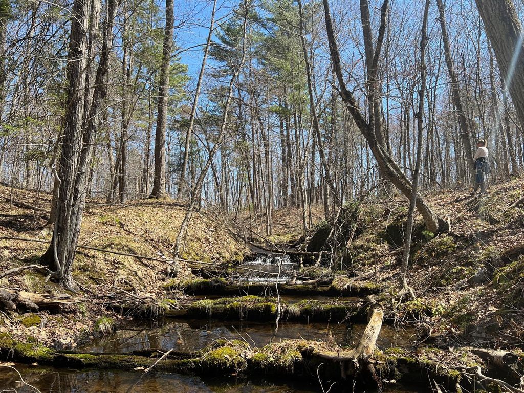 Photo of TBD Red Oak Lane, Stone Lake, WI 54876 (MLS # 7058211)