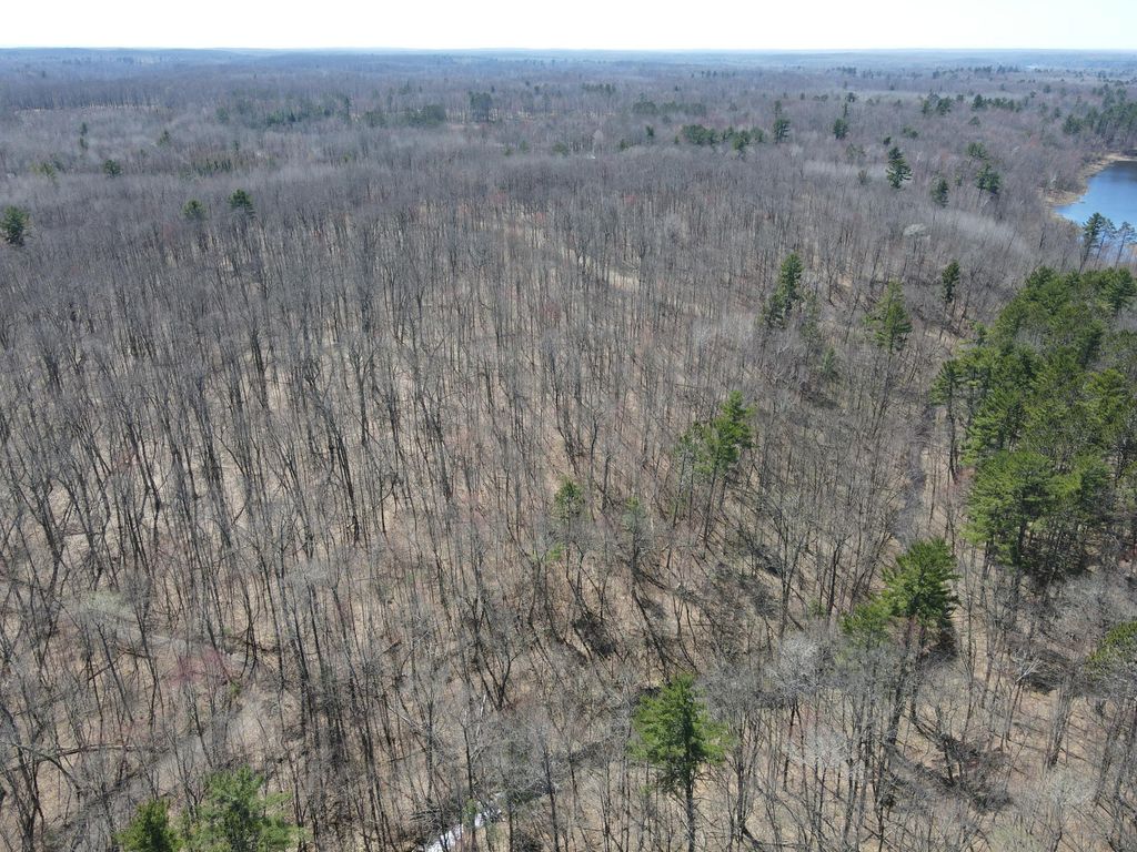 Photo of TBD Red Oak Lane, Stone Lake, WI 54876 (MLS # 7058211)