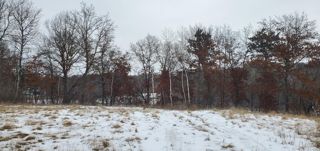 Photo of 987 Moon Glow Road, Hudson, WI 54016 (MLS # 7027591)