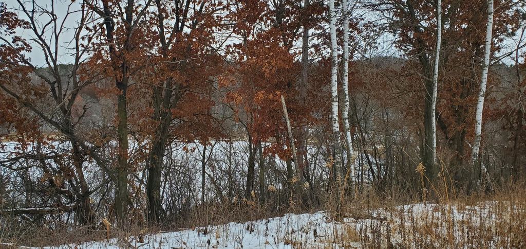 Photo of 987 Moon Glow Road, Hudson, WI 54016 (MLS # 7027591)