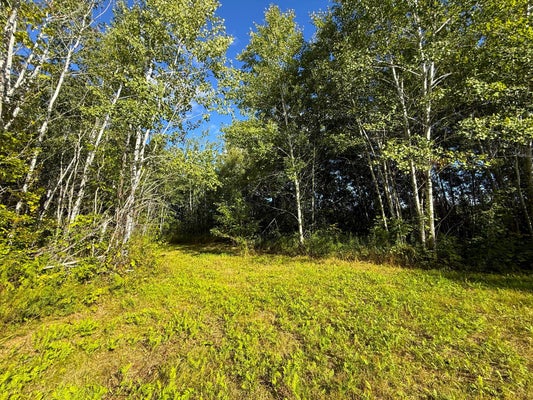 12084 COUNTY ROAD 144, BRAINERD, MN 56401 - Image 42c139ac7dd8b4eaf1aa4673009ecd9b/2101707272