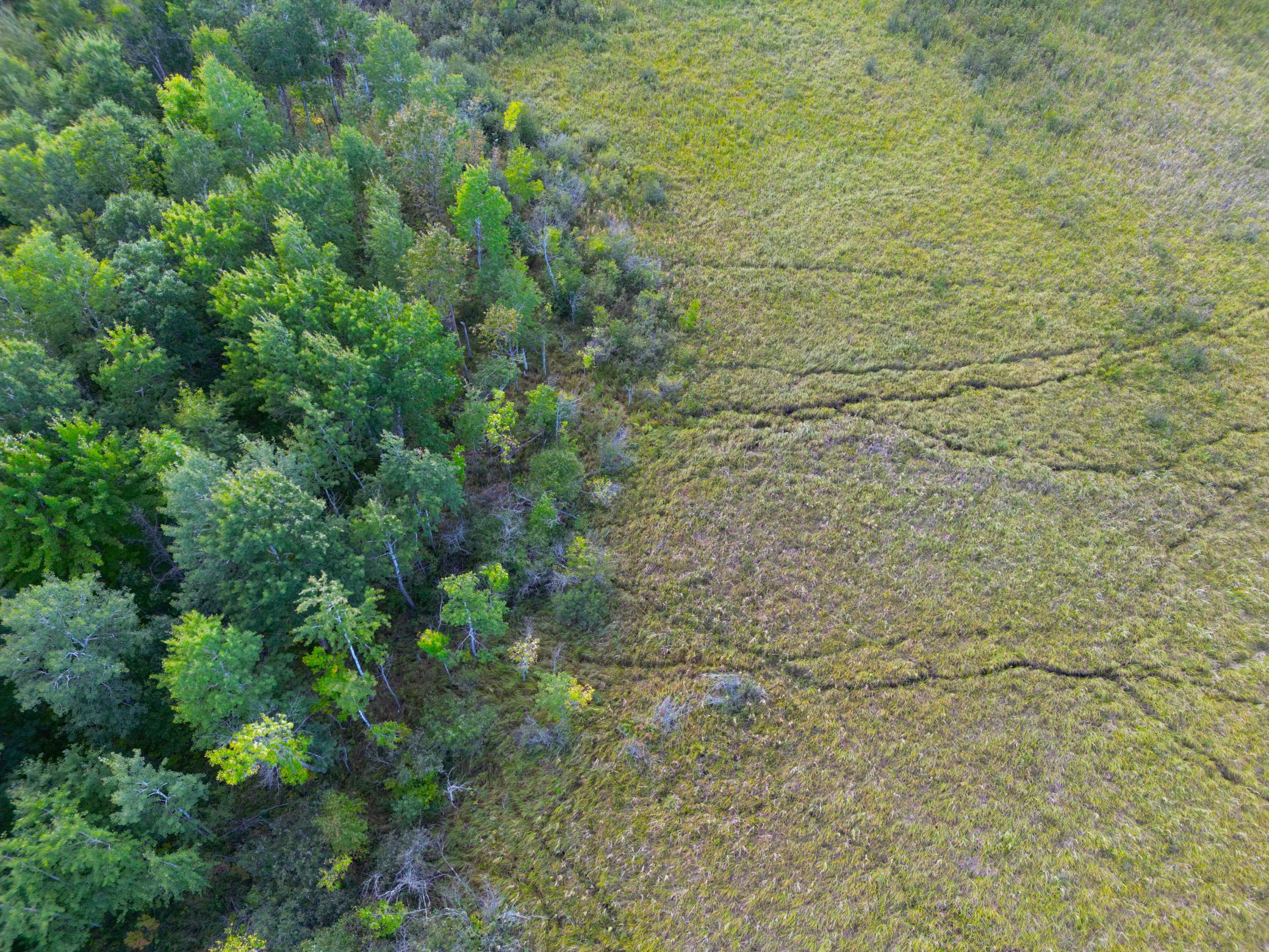 12084 County Road 144