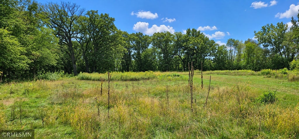 Photo of 1016 Bunker Lake Boulevard NE, Ham Lake, MN 55304 (MLS # 7150509)