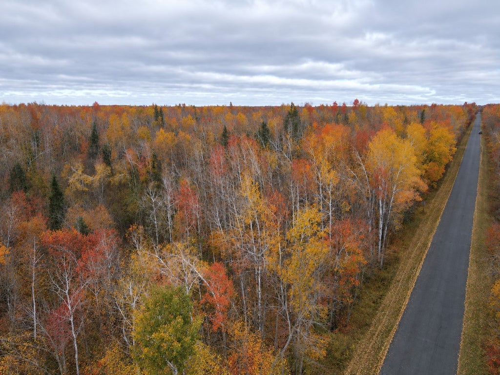 Photo of TBD Swedish Highway, Dairyland, WI 54830 (MLS # 7160677)