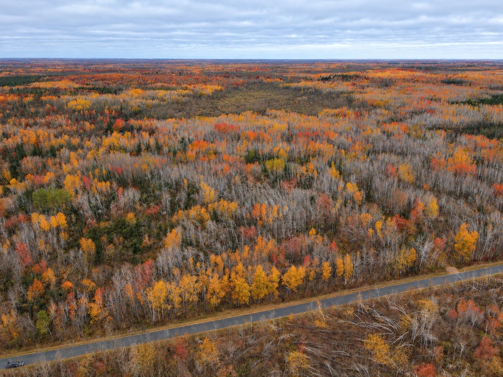 Photo of TBD Swedish Highway, Dairyland, WI 54830 (MLS # 7160677)