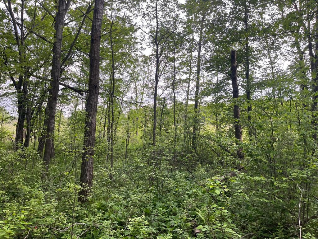 Photo of xxx Crust Road, Brainerd, MN 56401 (MLS # 6722596)