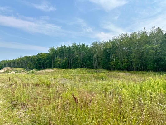 TBD-LOT 8 E OTTERTAIL ROAD NW, WALKER, MN 56484 - Image 445ffc2b0afd375b3e426ec10a0f66ad/85350509