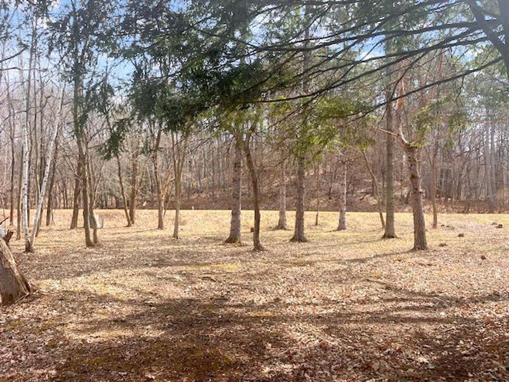 Photo of 8xx 207th Street, Dresser, WI 54009 (MLS # 7052361)