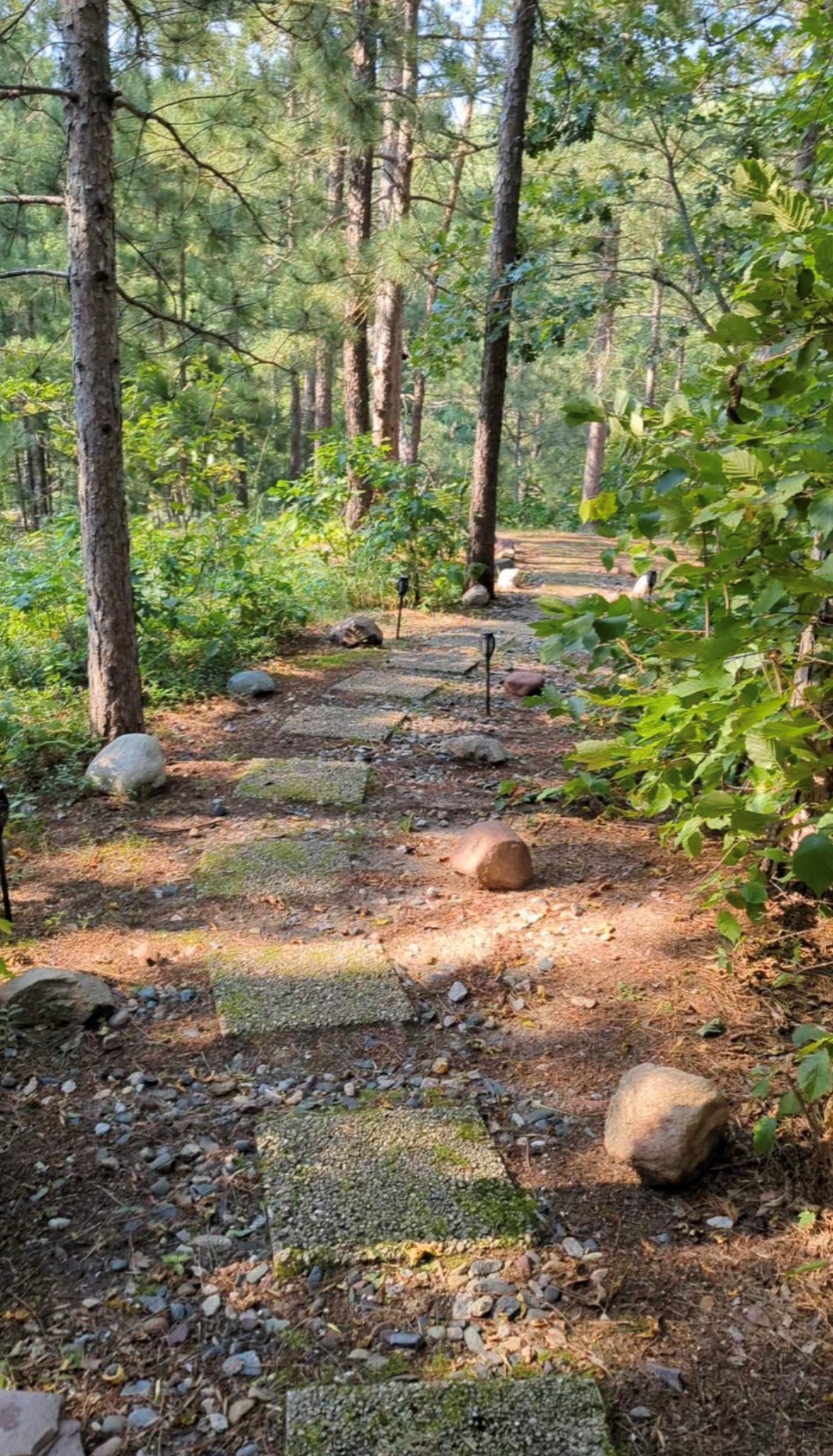 11293 Town Hall Street