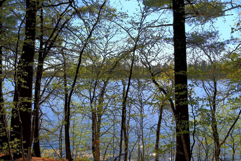 Photo of 40039 County Rd 17, Browerville, MN 56438 (MLS # 7053625)