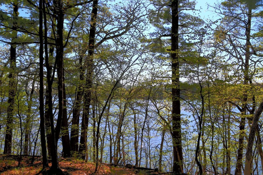 Photo of 40039 County Rd 17, Browerville, MN 56438 (MLS # 7053625)