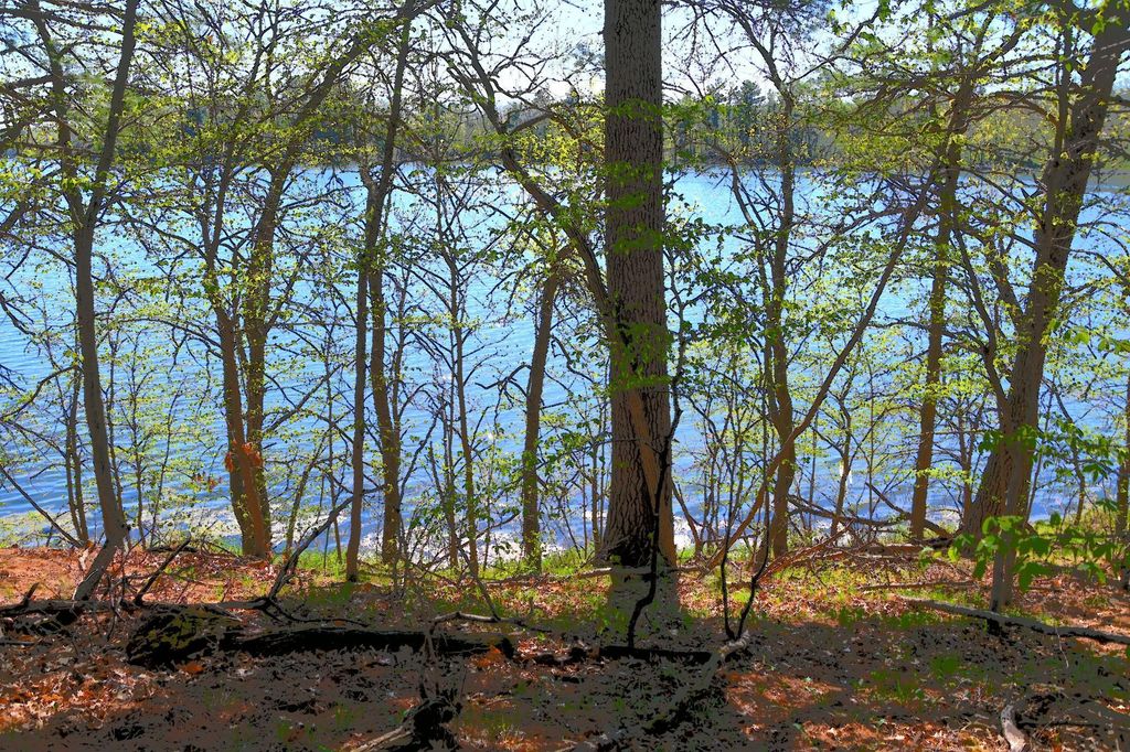 Photo of 40039 County Rd 17, Browerville, MN 56438 (MLS # 7053625)