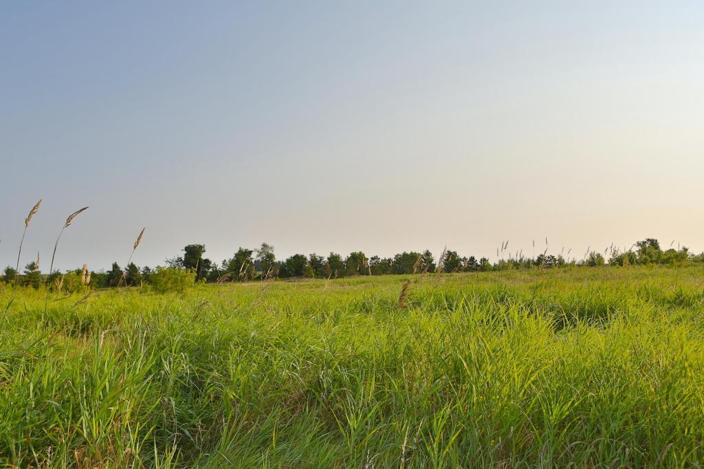 Photo of 469 (Lot 1) Prominence Way, Hudson, WI 54016 (MLS # 7149554)