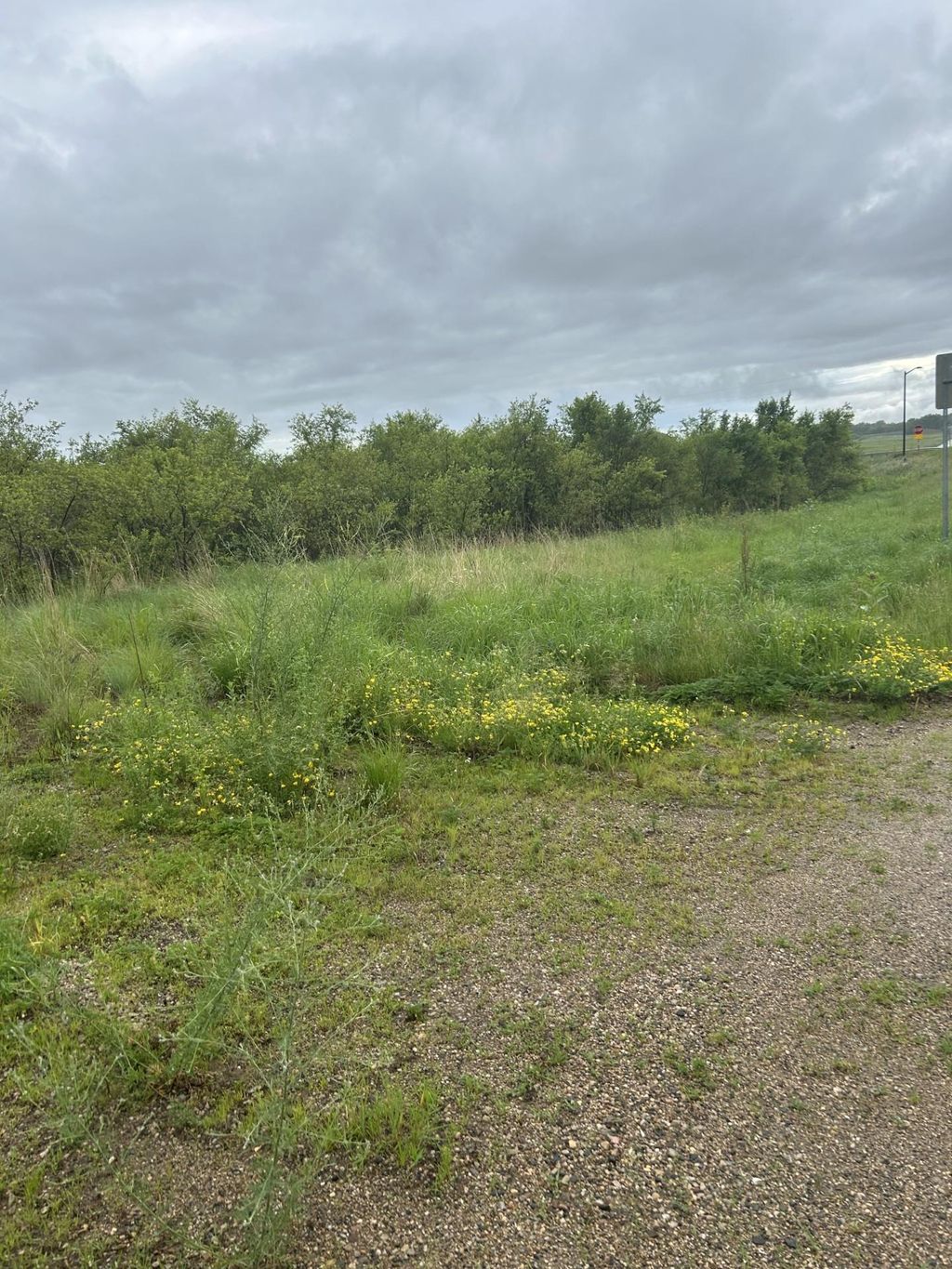 Photo of XXXX 280th Street, Northfield, MN 55057 (MLS # 7066384)