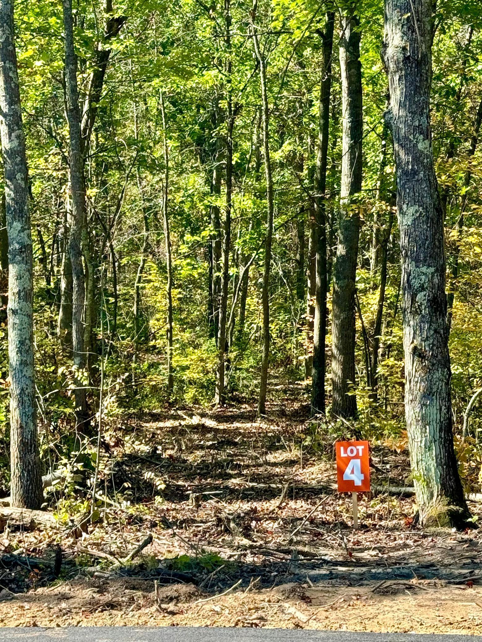 TBD4 Winter Creek Court