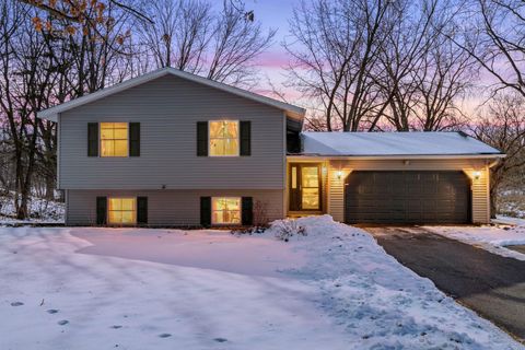 4109 Valentine Crest Road Arden Hills MN 55112