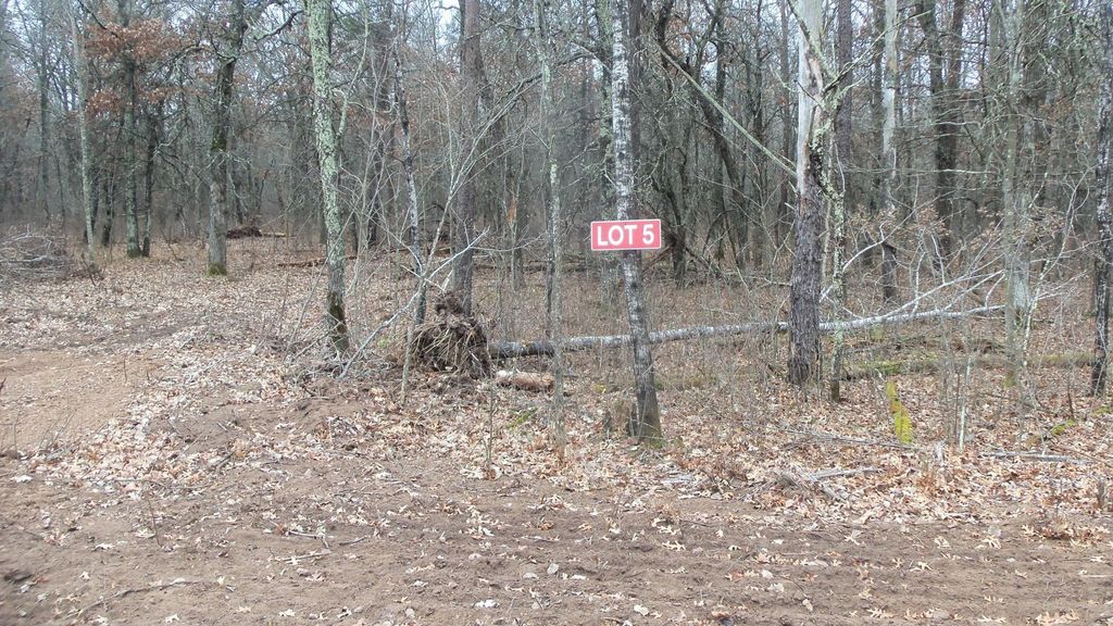 Photo of Lot 5 Cnute Creek Trl, Grantsburg, WI 54840 (MLS # 7003859)