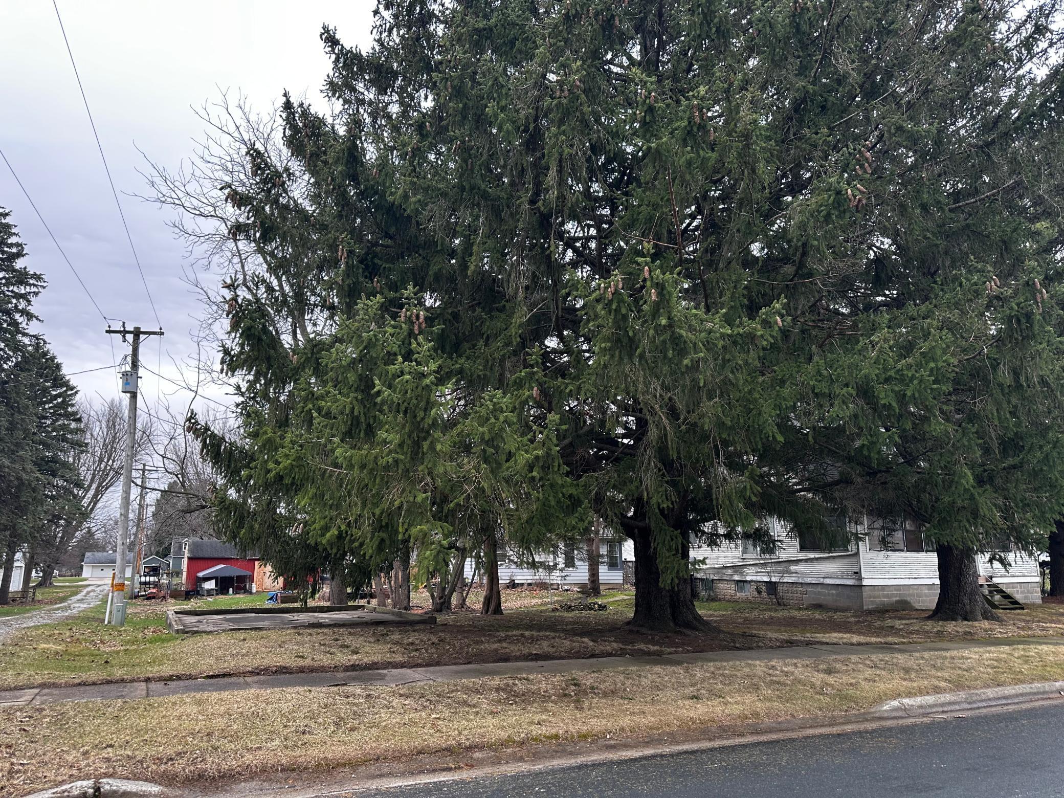 315 2nd Street SE