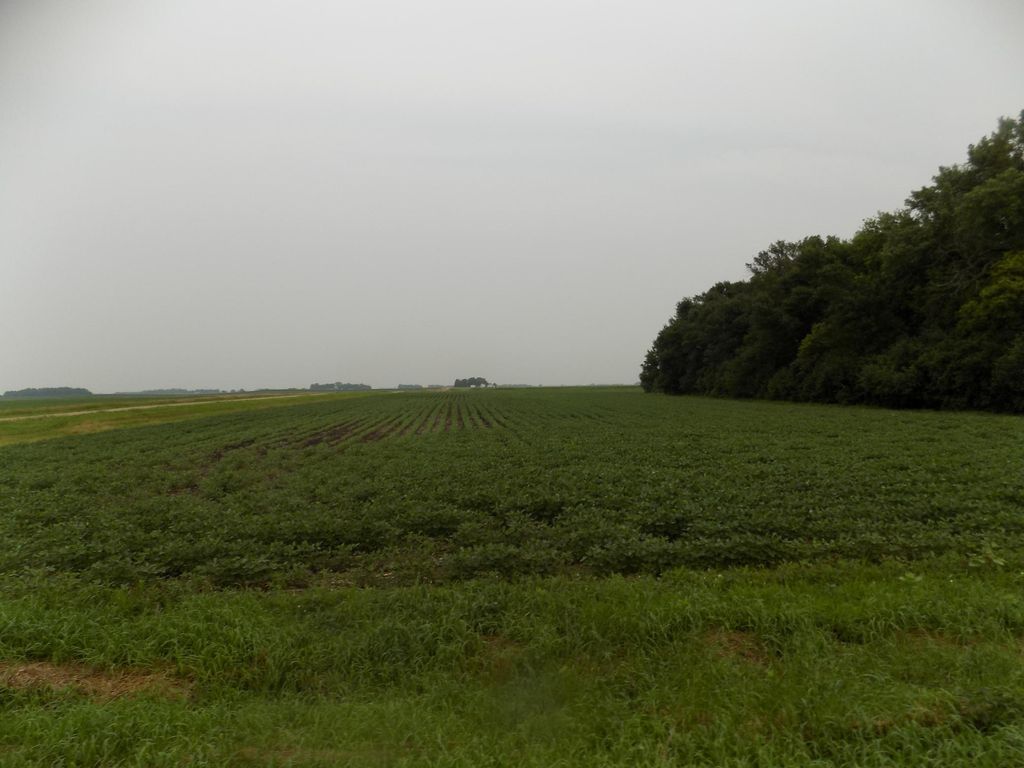 Photo of 56118 820th Street, Jackson, MN 56143 (MLS # 7019948)