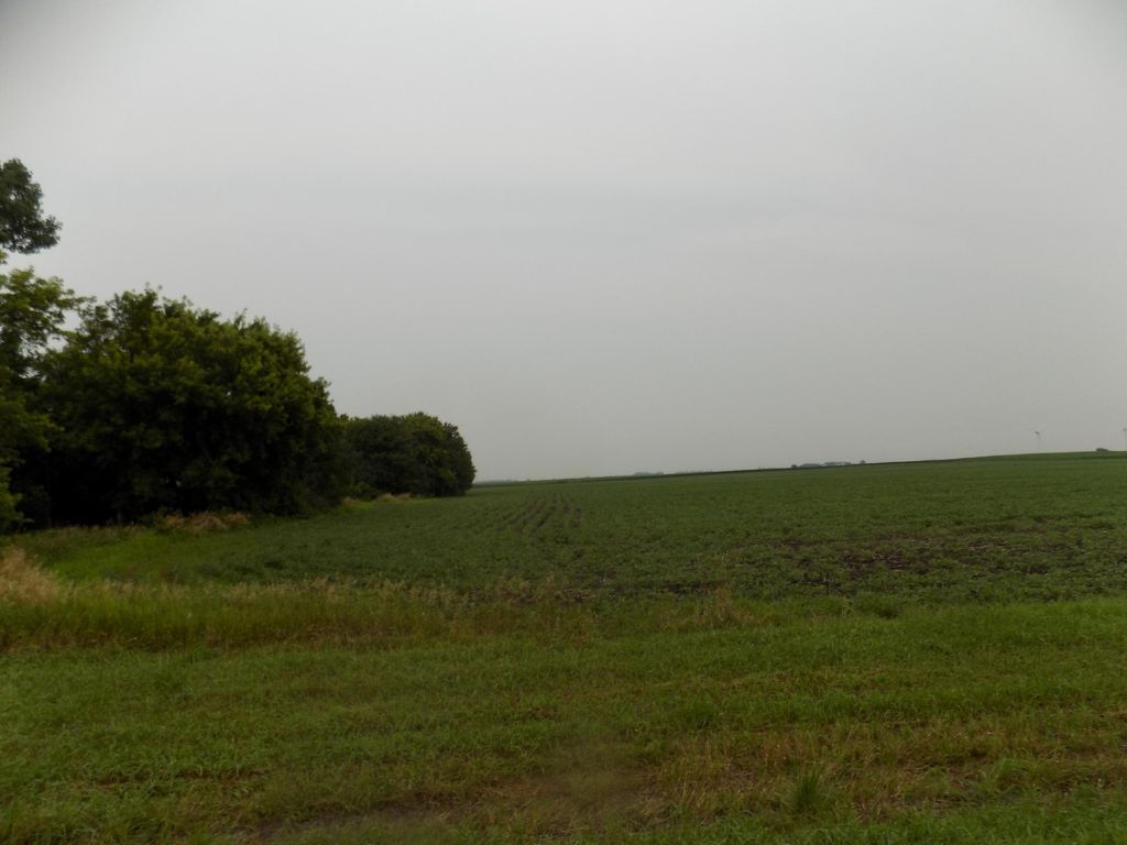 Photo of 56118 820th Street, Jackson, MN 56143 (MLS # 7019948)